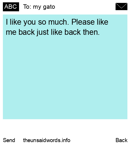 unsent message to my gato 