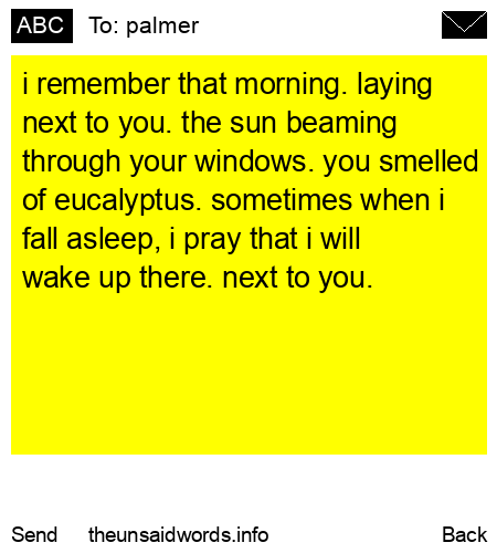 unsent message to palmer