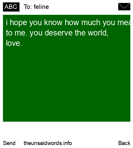 unsent message to feline
