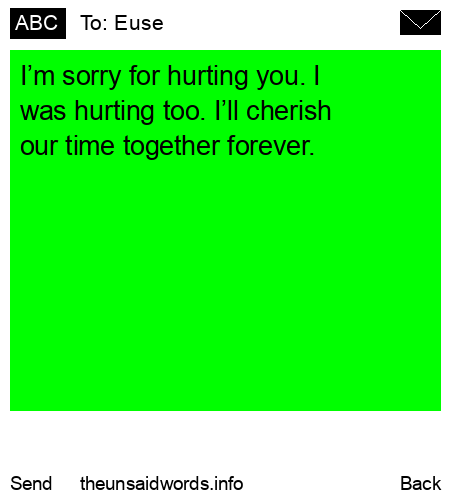 unsent message to Euse