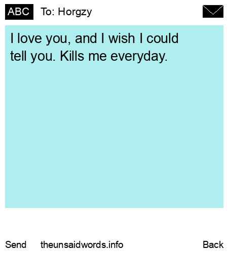 unsent message to Horgzy
