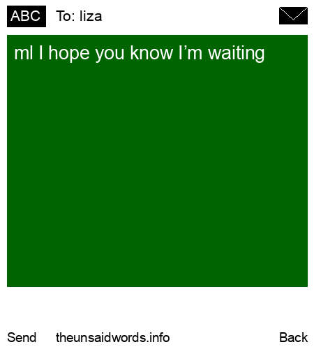 unsent message to liza