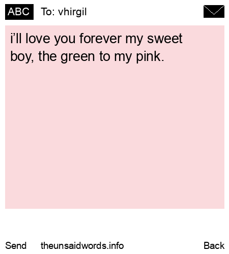 unsent message to vhirgil