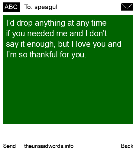 unsent message to speagul