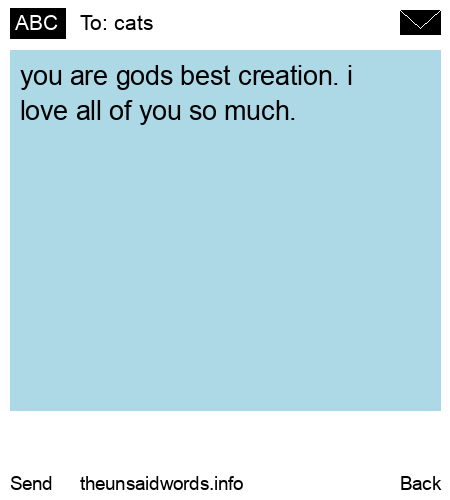 unsent message to cats