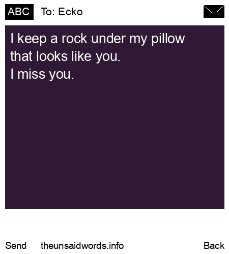 unsent message to Ecko