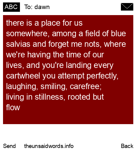 unsent message to dawn