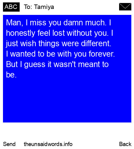 unsent message to Tamiya
