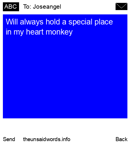 unsent message to Joseangel