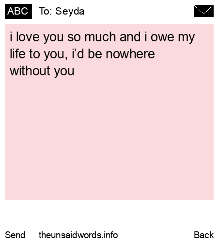 unsent message to Seyda