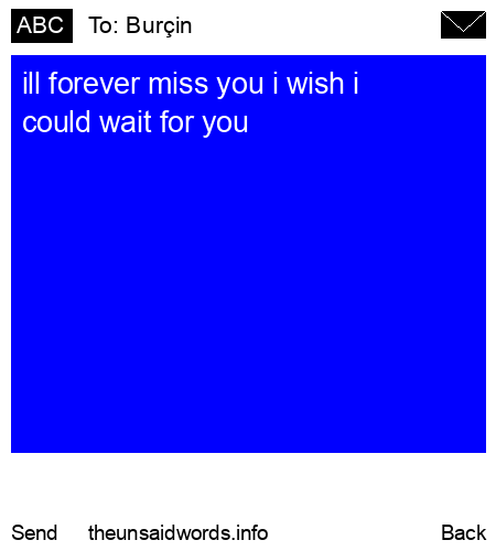 unsent message to Burçin