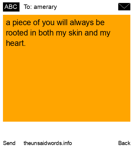 unsent message to amerary
