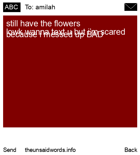unsent message to amilah