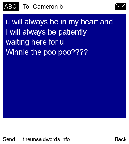 unsent message to Cameron b