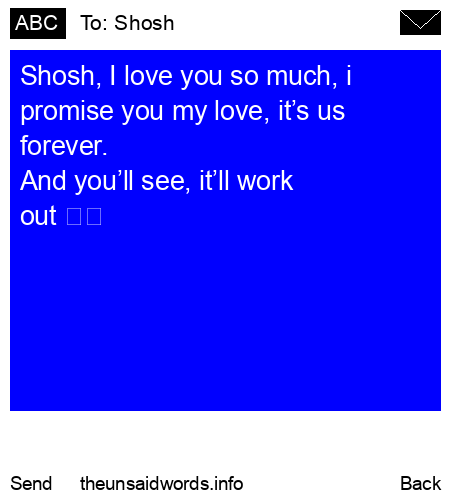 unsent message to Shosh 