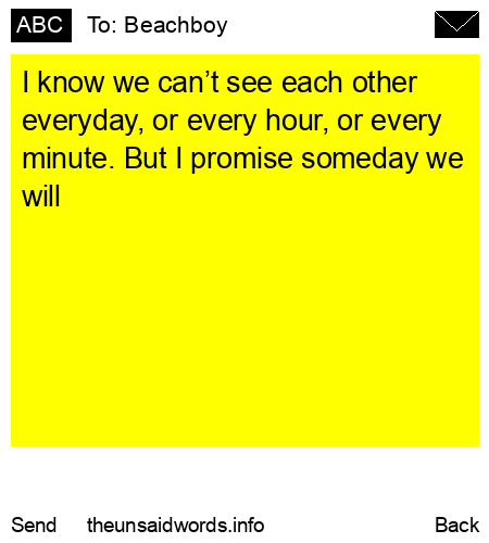 unsent message to Beachboy