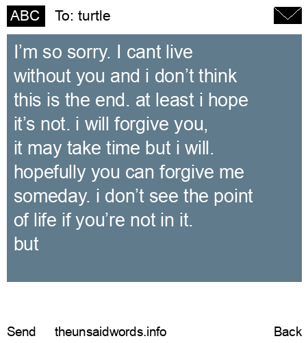 unsent message to turtle