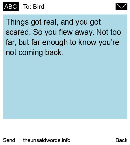 unsent message to Bird