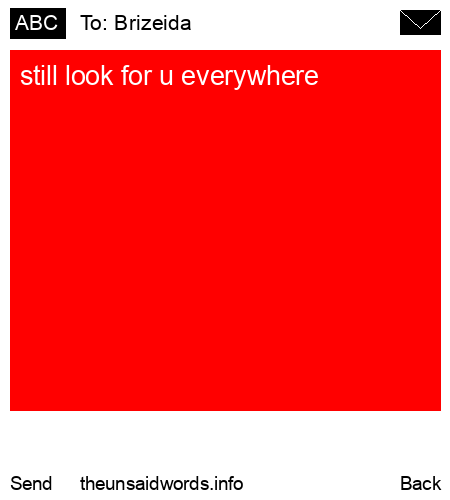 unsent message to Brizeida 