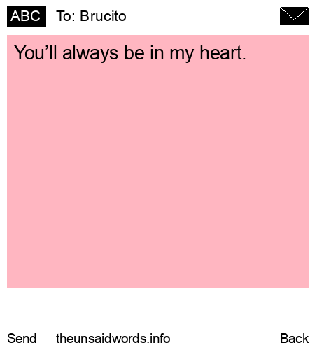 unsent message to Brucito