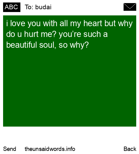 unsent message to budai