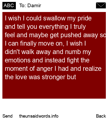 unsent message to Damir