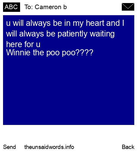unsent message to Cameron b