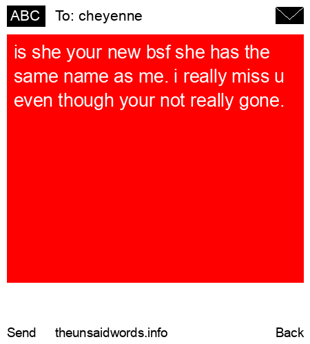 unsent message to cheyenne