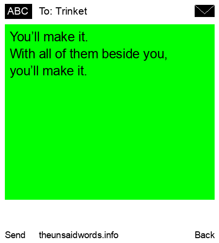 unsent message to Trinket