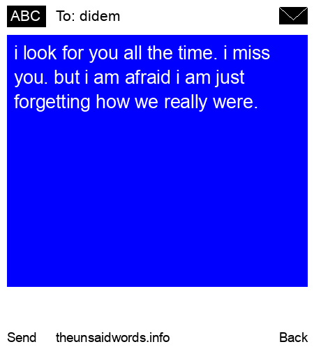 unsent message to didem