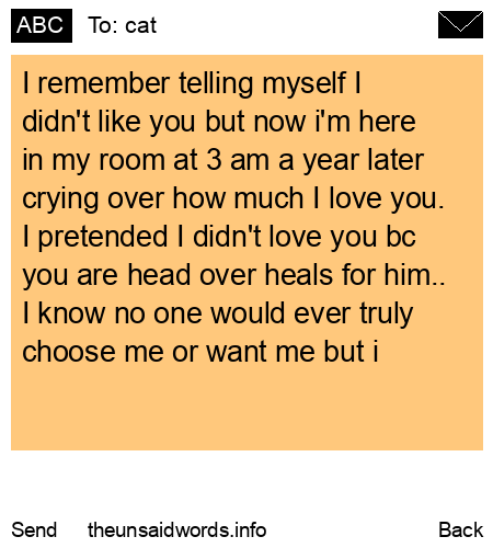 unsent message to cat