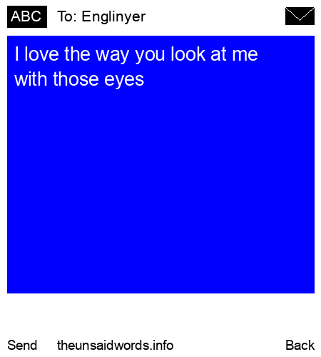 unsent message to Englinyer 