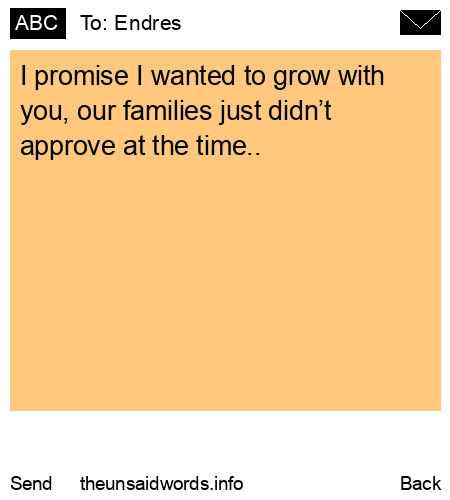 unsent message to Endres