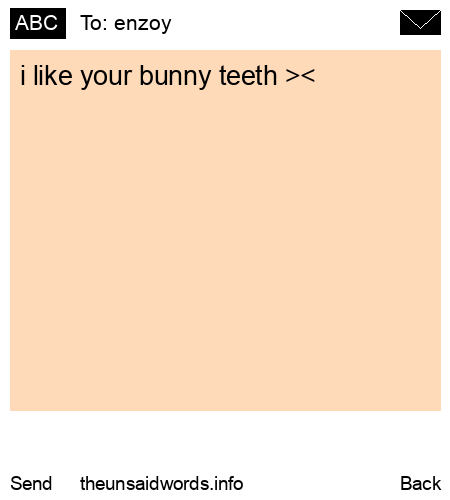 unsent message to enzoy