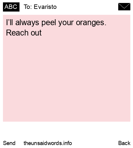 unsent message to Evaristo