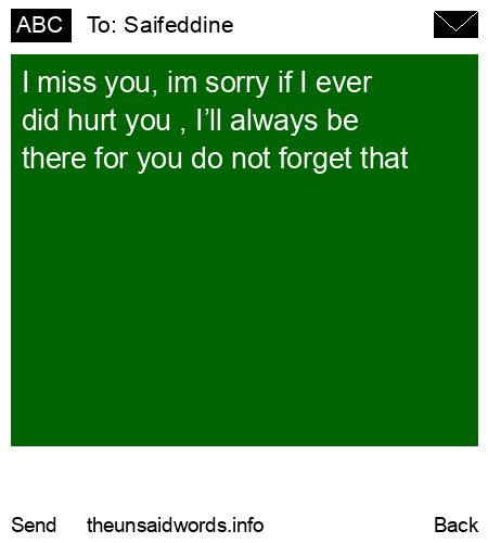 unsent message to Saifeddine 