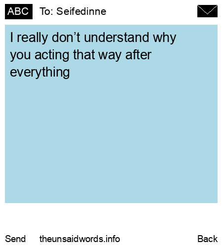 unsent message to Seifedinne