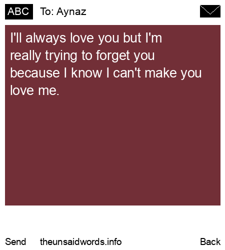 unsent message to Aynaz