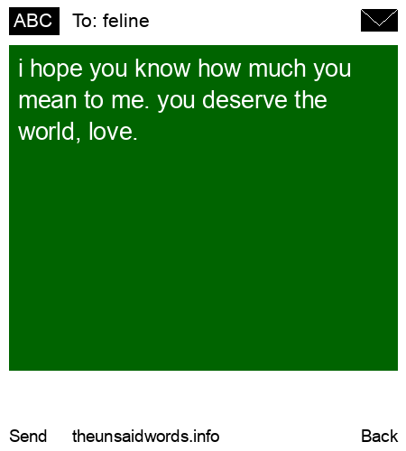 unsent message to feline
