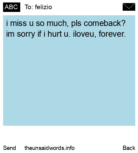 unsent message to felizio