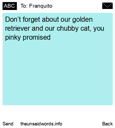 unsent message to Franquito