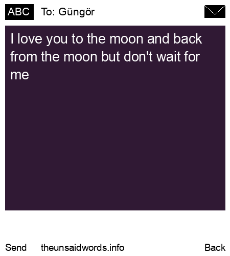 unsent message to Güngör 