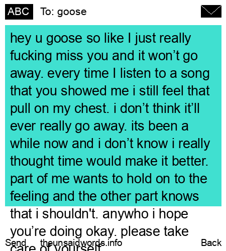 unsent message to goose