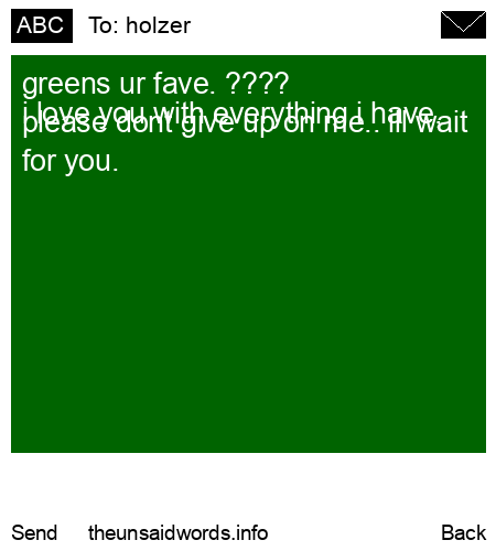 unsent message to holzer