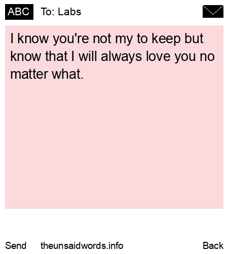 unsent message to Labs