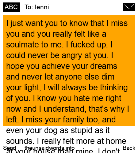 unsent message to lenni