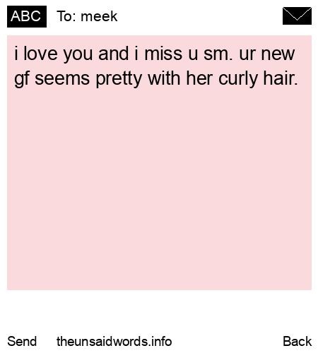 unsent message to meek