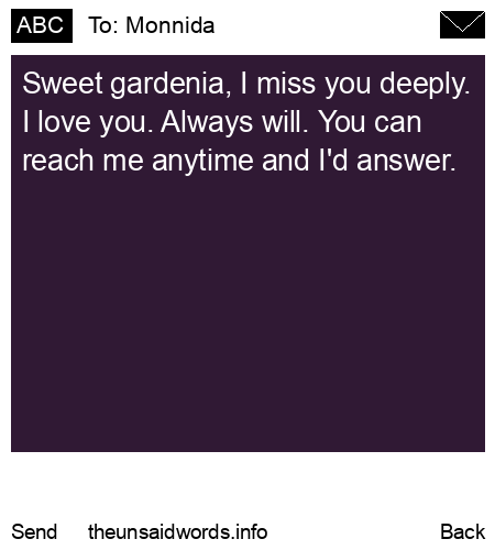 unsent message to Monnida