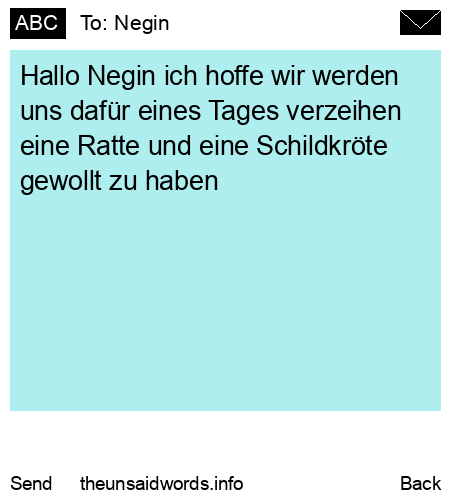 unsent message to Negin