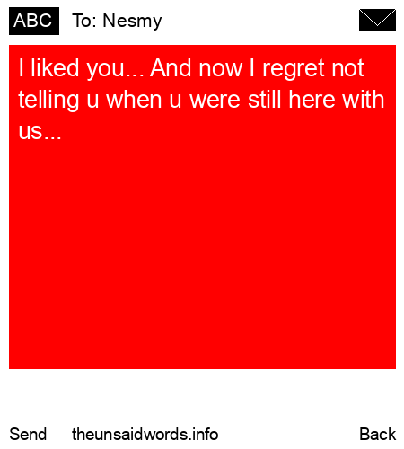 unsent message to Nesmy